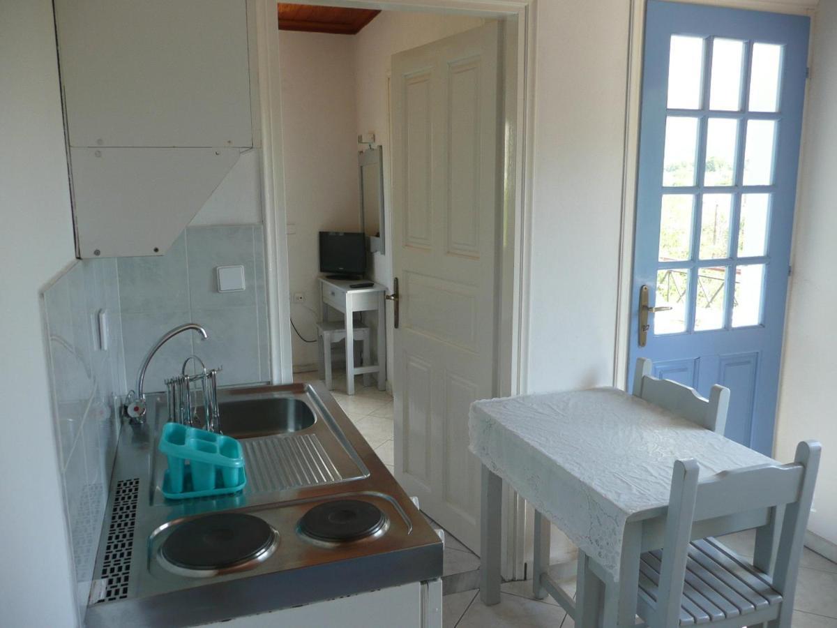 Armonia Apartments Vasilikí Cameră foto